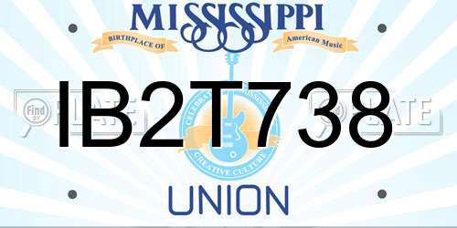 IB2T738 Mississippi License Plate