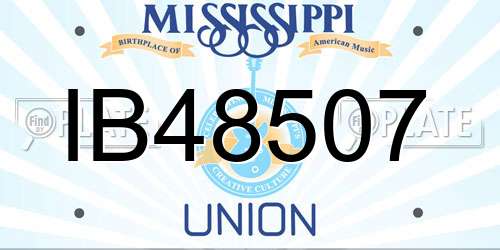IB48507 Mississippi License Plate