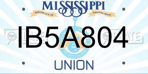 IB5A804 Mississippi License Plate