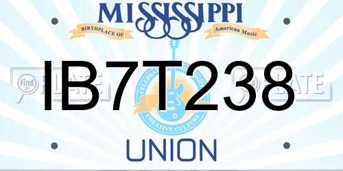 IB7T238 Mississippi License Plate