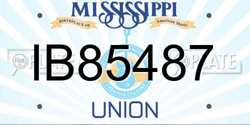 IB85487 Mississippi License Plate