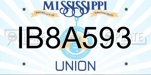 IB8A593 Mississippi License Plate