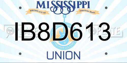 IB8D613 Mississippi License Plate