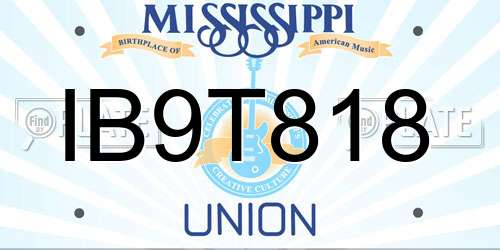 IB9T818 Mississippi License Plate
