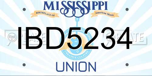 IBD5234 Mississippi License Plate