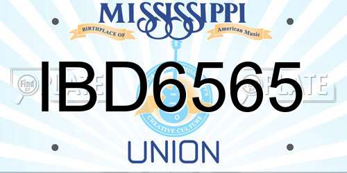 IBD6565 Mississippi License Plate