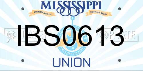 IBS0613 Mississippi License Plate