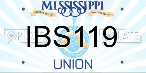 IBS119 Mississippi License Plate