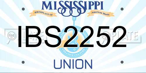 IBS2252 Mississippi License Plate