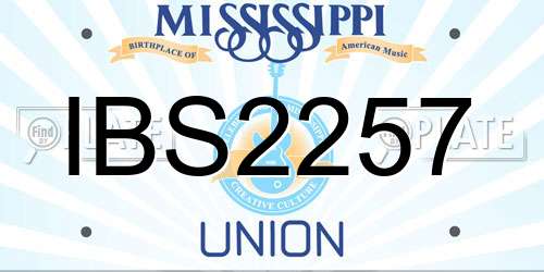 IBS2257 Mississippi License Plate