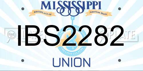 IBS2282 Mississippi License Plate