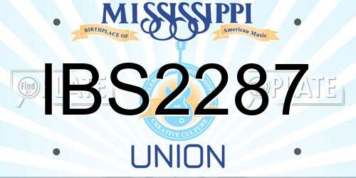 IBS2287 Mississippi License Plate