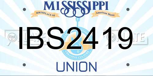 IBS2419 Mississippi License Plate