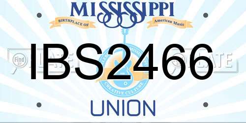 IBS2466 Mississippi License Plate