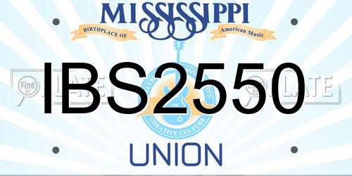 IBS2550 Mississippi License Plate