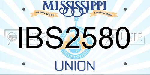IBS2580 Mississippi License Plate