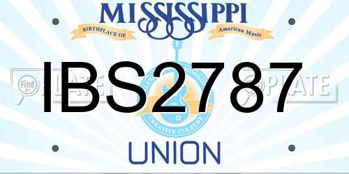 IBS2787 Mississippi License Plate