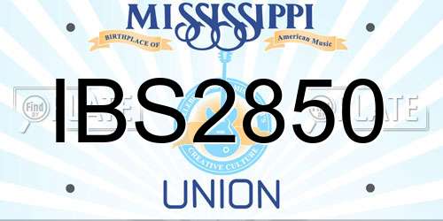 IBS2850 Mississippi License Plate