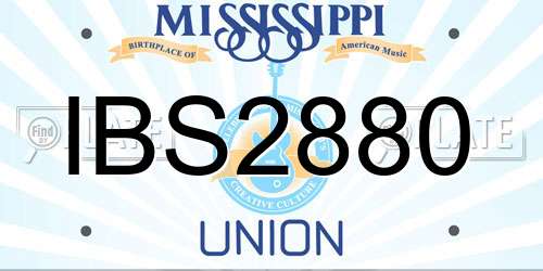IBS2880 Mississippi License Plate
