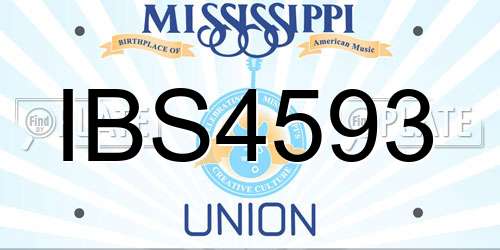 IBS4593 Mississippi License Plate