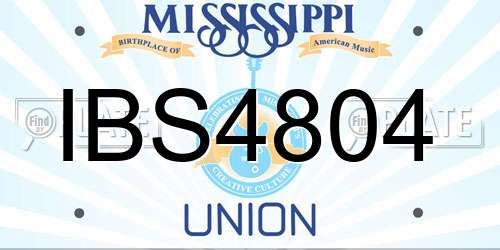 IBS4804 Mississippi License Plate