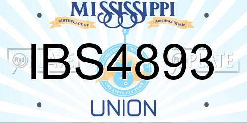 IBS4893 Mississippi License Plate