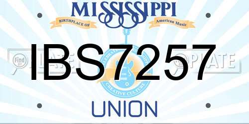 IBS7257 Mississippi License Plate