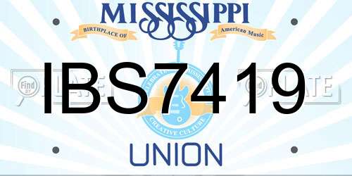IBS7419 Mississippi License Plate