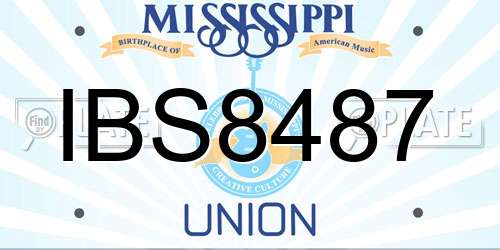 IBS8487 Mississippi License Plate