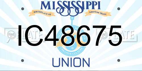 IC48675 Mississippi License Plate
