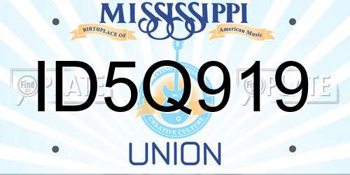 ID5Q919 Mississippi License Plate