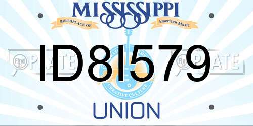 ID8I579 Mississippi License Plate