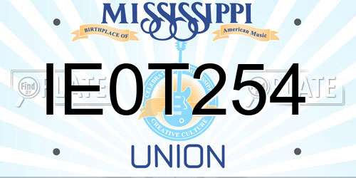 IE0T254 Mississippi License Plate