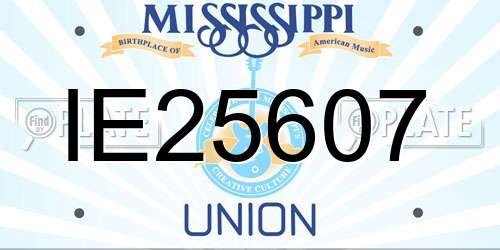 IE25607 Mississippi License Plate