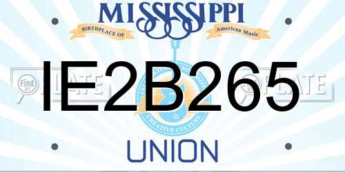 IE2B265 Mississippi License Plate