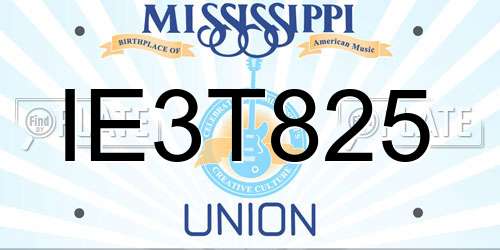 IE3T825 Mississippi License Plate
