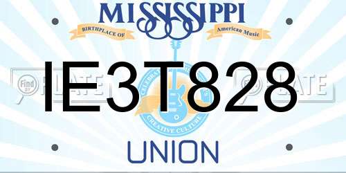 IE3T828 Mississippi License Plate
