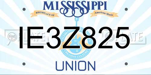 IE3Z825 Mississippi License Plate