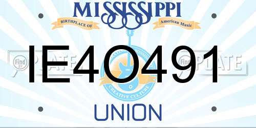 IE4O491 Mississippi License Plate