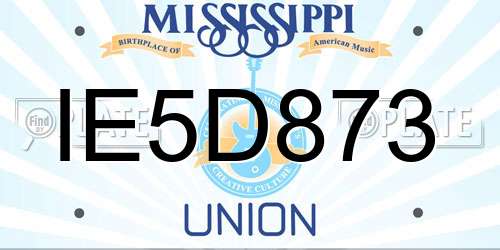 IE5D873 Mississippi License Plate