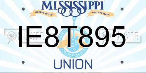 IE8T895 Mississippi License Plate