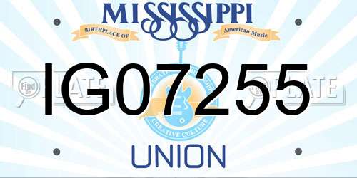 IG07255 Mississippi License Plate
