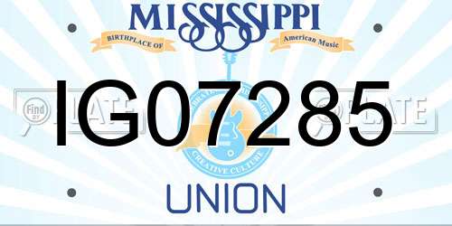 IG07285 Mississippi License Plate