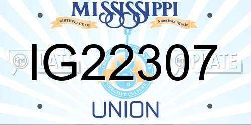 IG22307 Mississippi License Plate