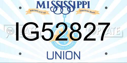 IG52827 Mississippi License Plate
