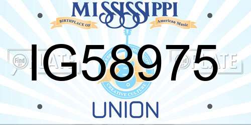 IG58975 Mississippi License Plate
