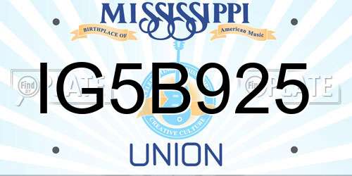 IG5B925 Mississippi License Plate