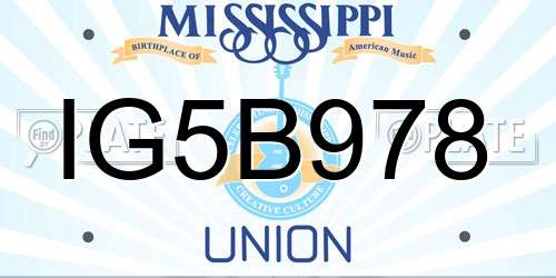 IG5B978 Mississippi License Plate