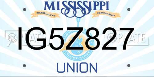 IG5Z827 Mississippi License Plate