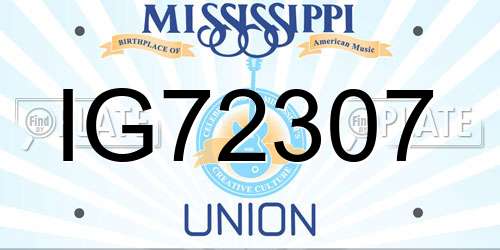 IG72307 Mississippi License Plate